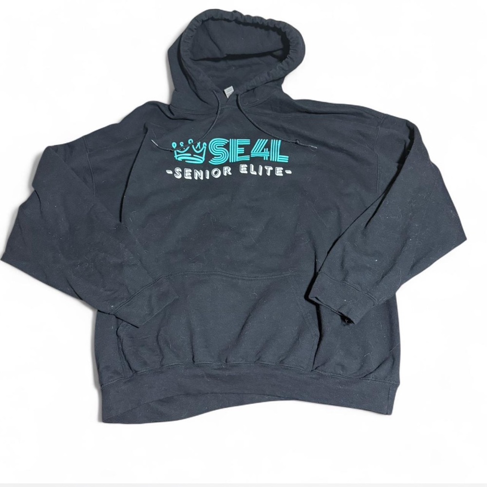 Gildan Black Hoodie with Teal Graphic